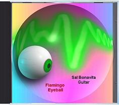 Flamingo Eyeball